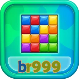 br999